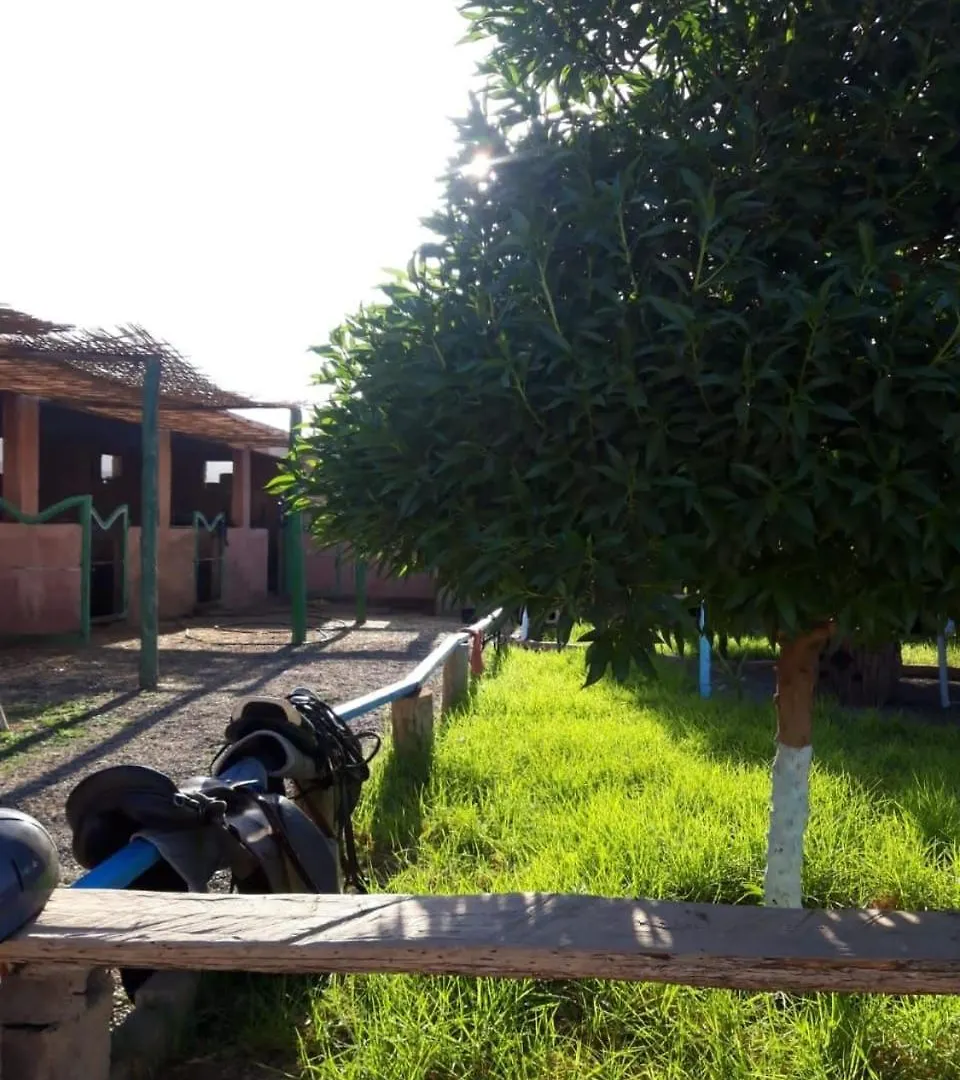 Villa Les Cavaliers Chez Yassine Marrakesh 0*,  Marocco