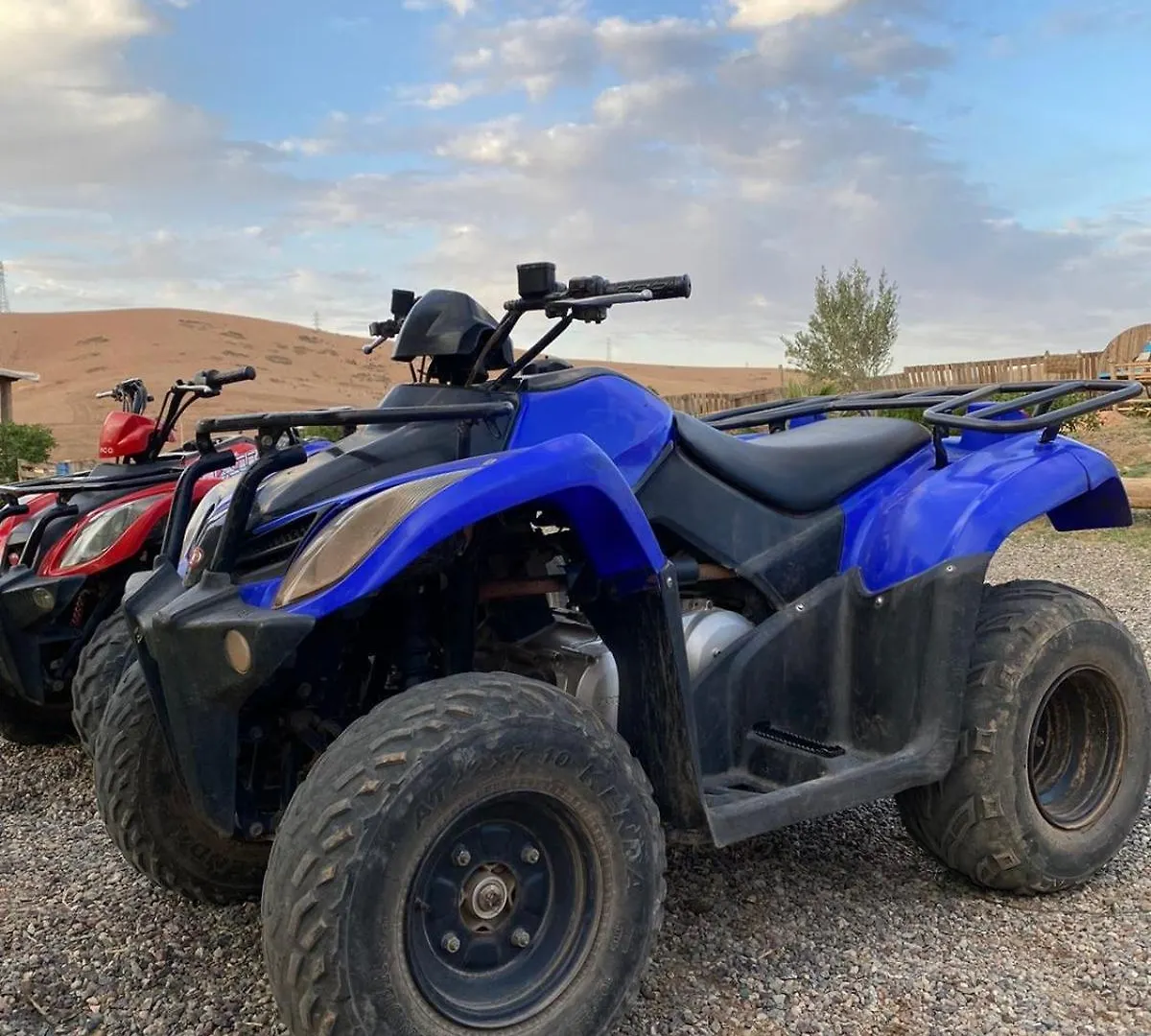 Alloggio per agriturismo Villa Les Cavaliers Chez Yassine Marrakesh Marocco