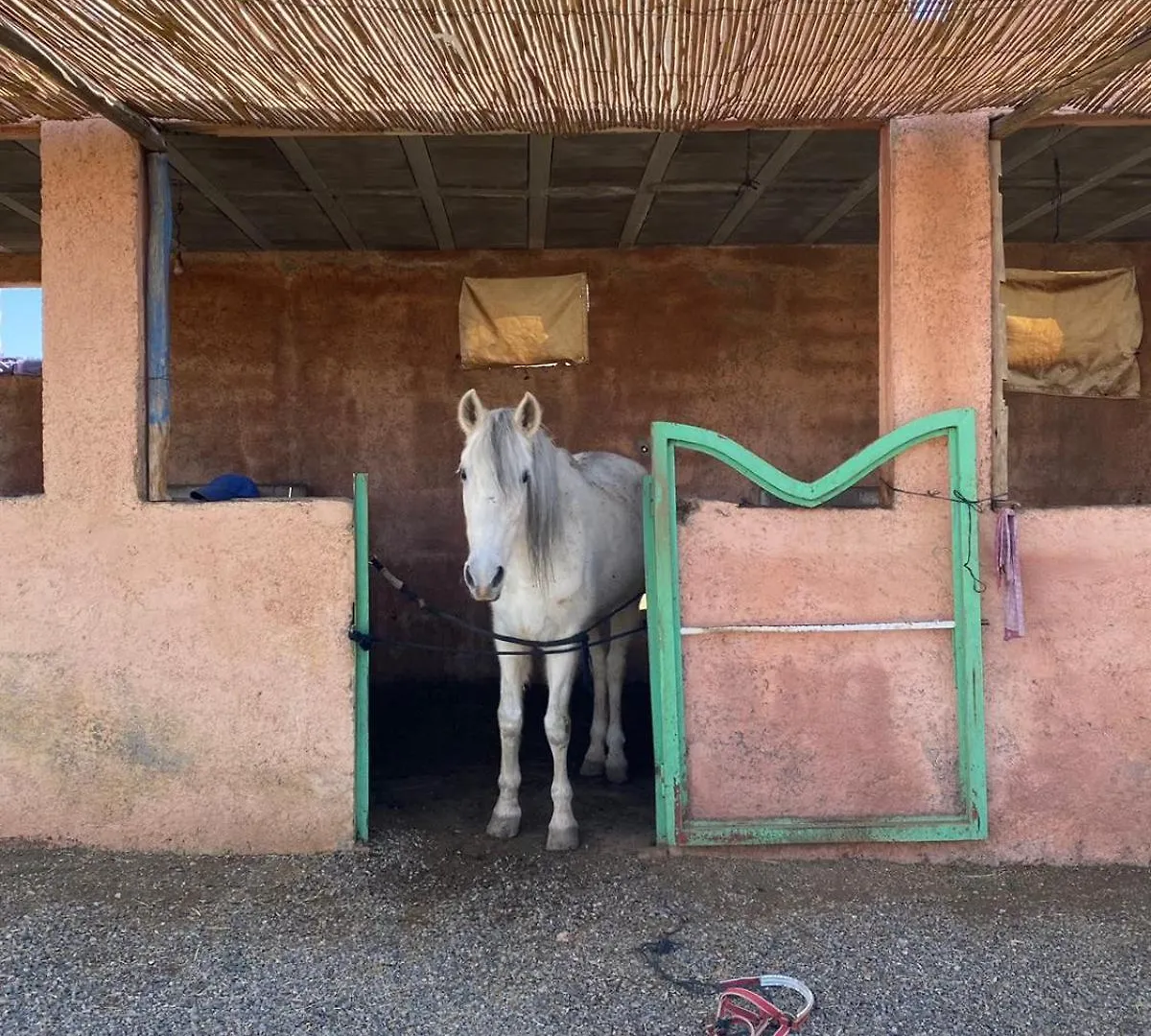 Les Cavaliers Chez Yassine Villa Marrakesh 0*,