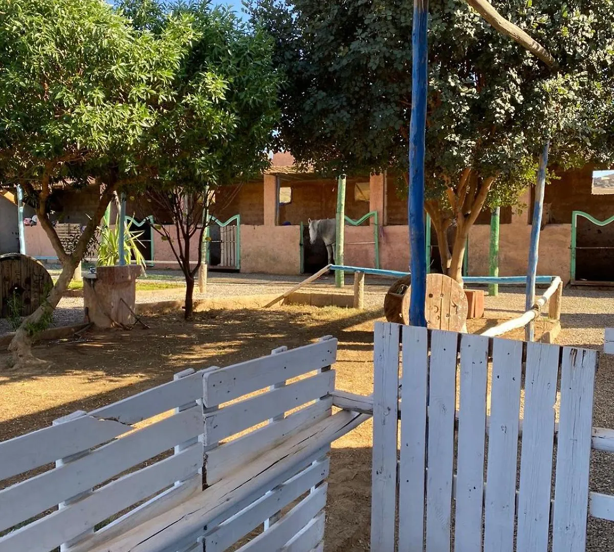 Les Cavaliers Chez Yassine Villa Marrakesh