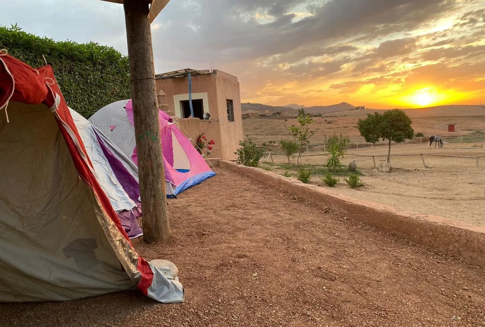 Les Cavaliers Chez Yassine Villa Marrakesh Morocco