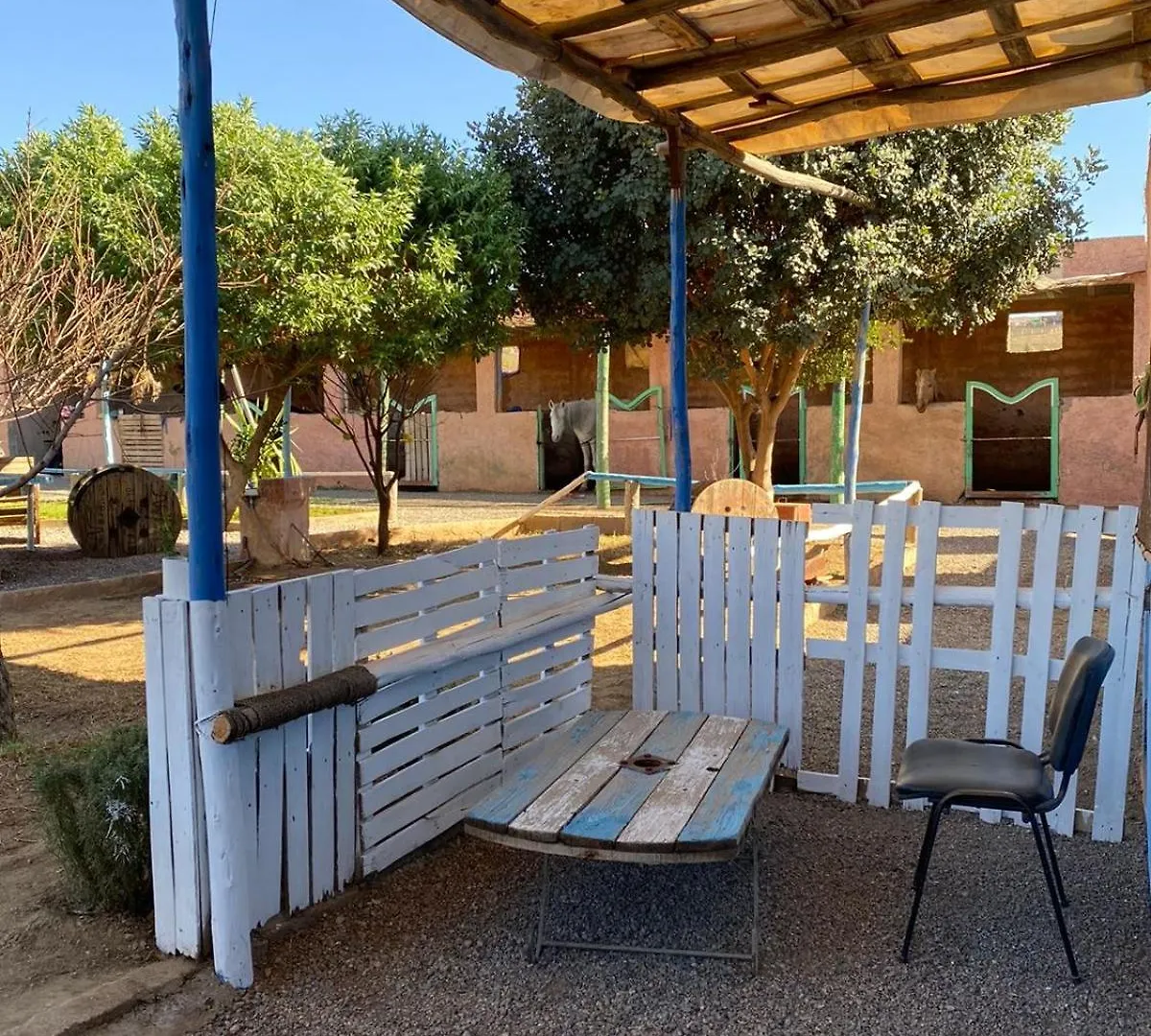 Farm stay Les Cavaliers Chez Yassine Villa Marrakesh